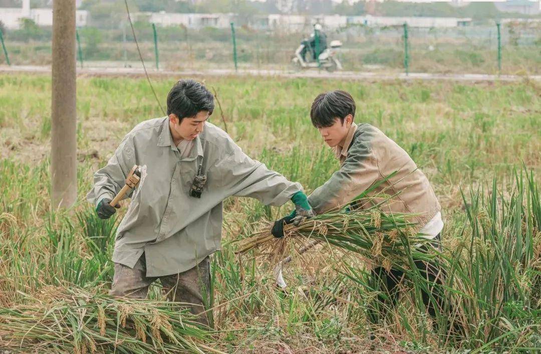 种地吧第三季少人,种地吧第三季人手不足