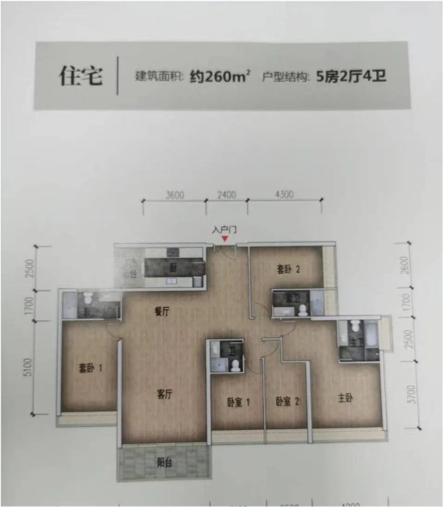 白石洲旧改最新消息,白石洲改造动态速递