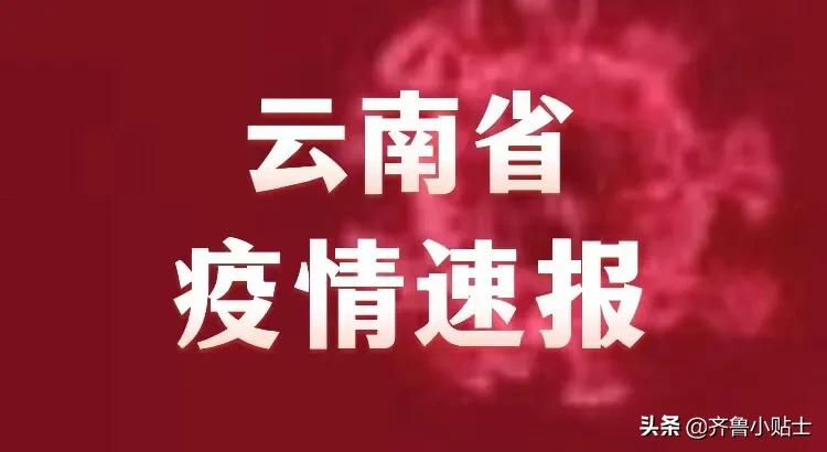 云南最新疫情通报,云南最新疫情动态速递