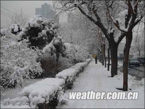 雨雪天气过后的沈阳,沈阳雪后春意浓