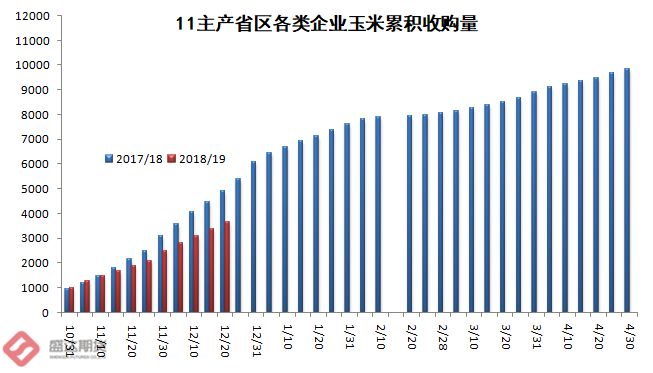 玉米走势最新分析,玉米市场动态深度解读