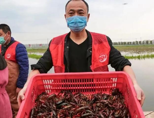 今日鱼粉最新价格,即时捕捉：最新鱼粉市场报价速递