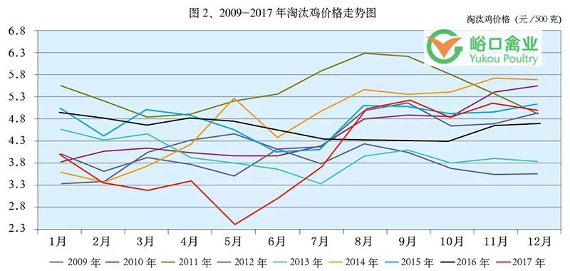 最新蛋鸡行情,实时更新的蛋鸡市场价格动态。