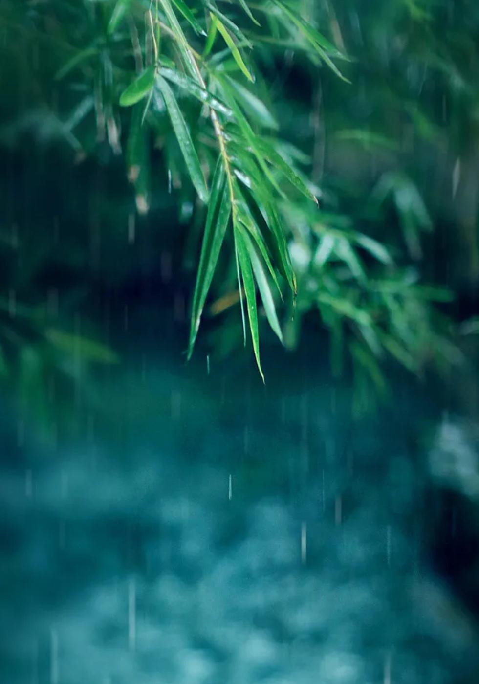 rain图片最新图片,“捕捉雨景，最新雨后风光大集合！”