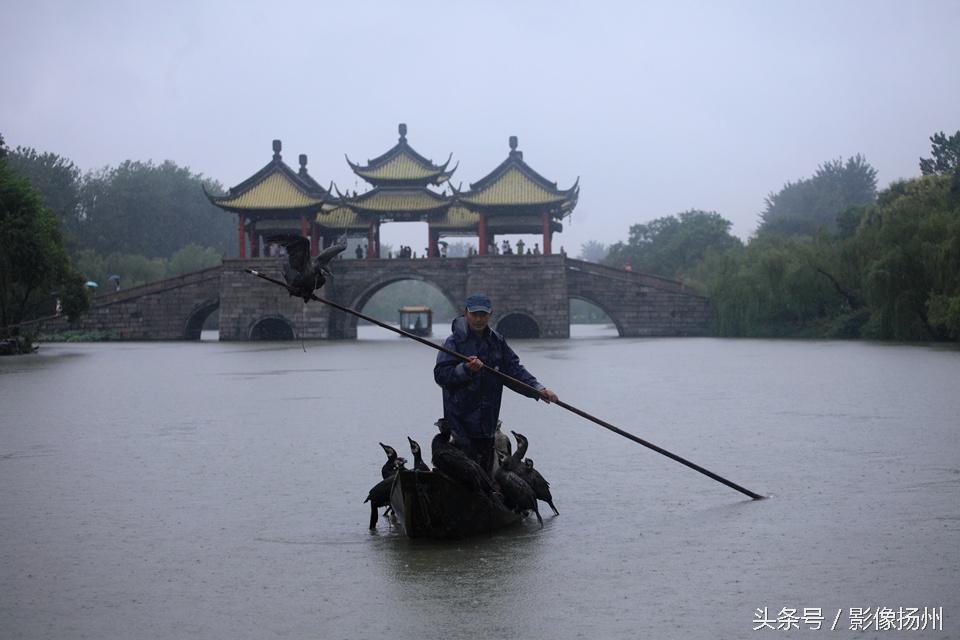 指尖捕鱼下载最新版,“最新版指尖捕鱼热力下载，畅玩捕鱼盛宴！”