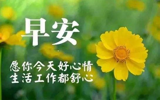 最新的早安问候语句,创新潮起，早安语句引领潮流