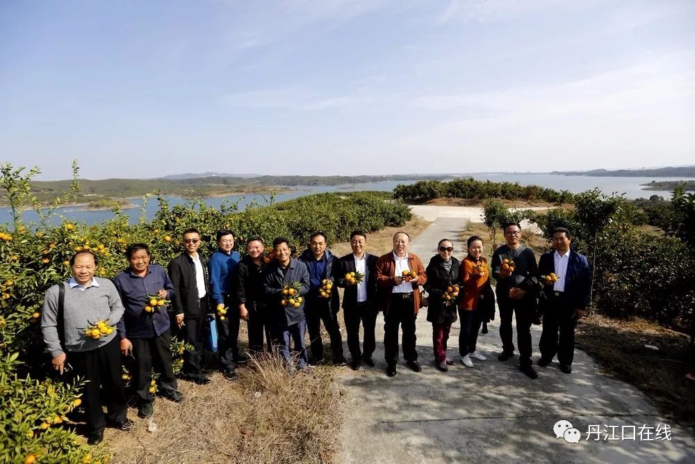 丹江口右岸最新招聘,丹江口右岸招聘信息更新发布。