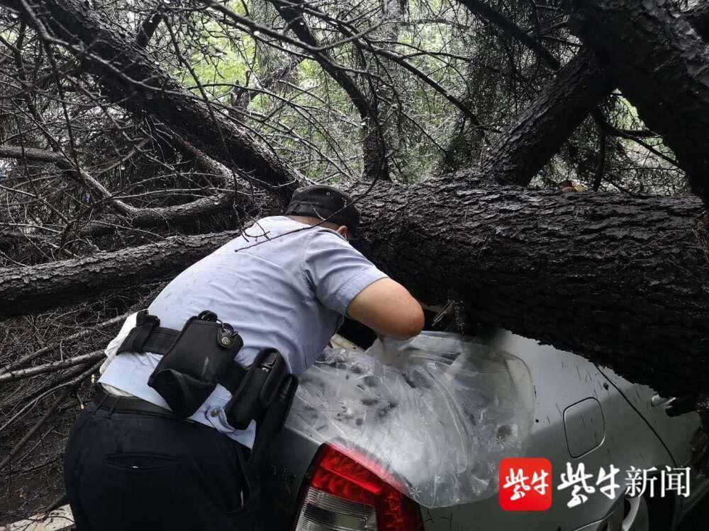 南京大雨最新新闻,暴雨倾盆侵袭南京，最新报道速递。