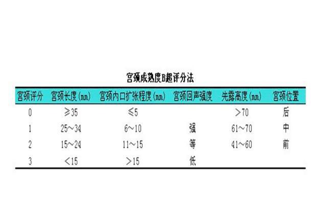 最新宫颈评分表,权威发布：全新版宫颈评分标准出炉