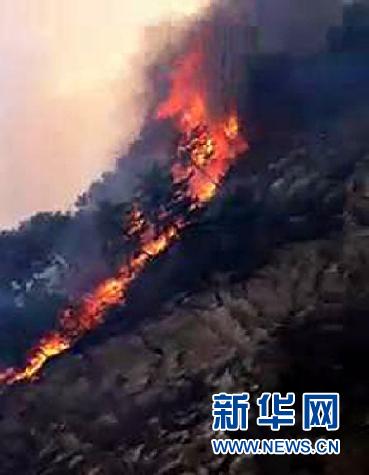 河北大火最新消息,河北山林火灾进展实时追踪报道。