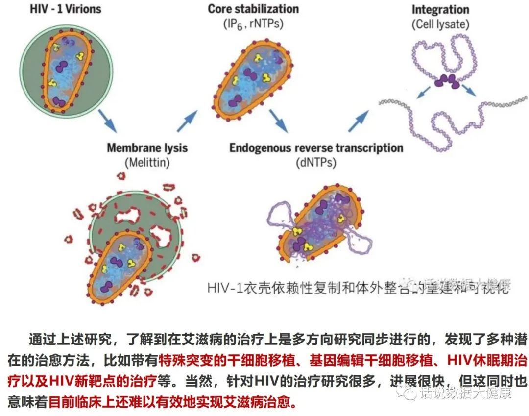 艾滋病疫苗最新进展,艾滋病疫苗研发取得突破性成果。