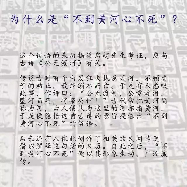 最新何首乌字谜,揭秘“最新何首乌谜题背后的文化内涵”。