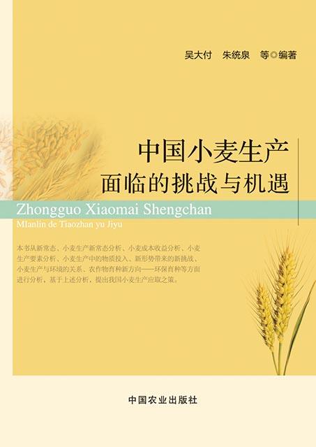 揭秘朝阳北站最新动态：探索未来交通枢纽面临的机遇与挑战