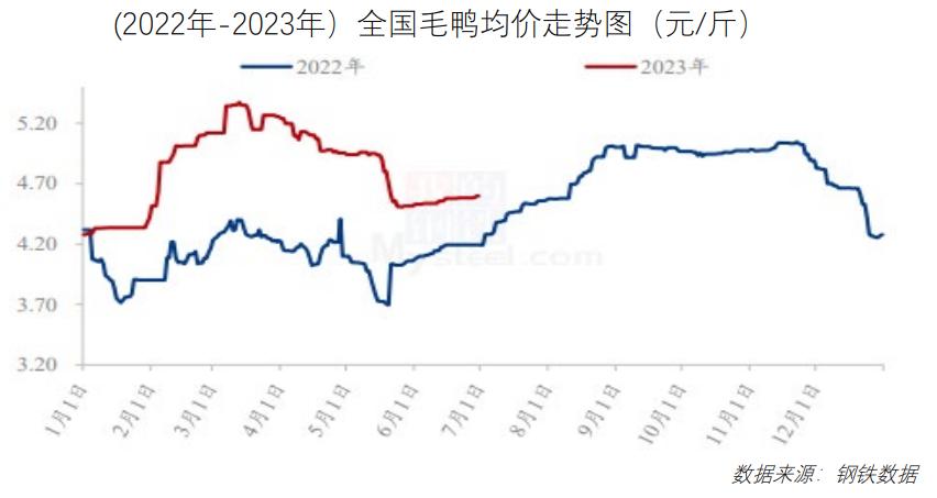 揭秘今日毛鸭最新价格走势，警惕市场波动，投资者必看攻略！