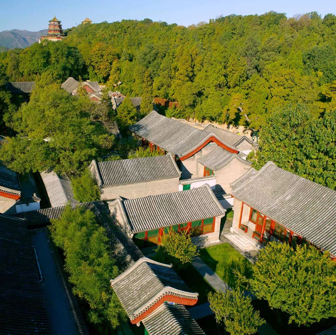 大寺奇境森林最新项目,神秘大寺森林新动向项目