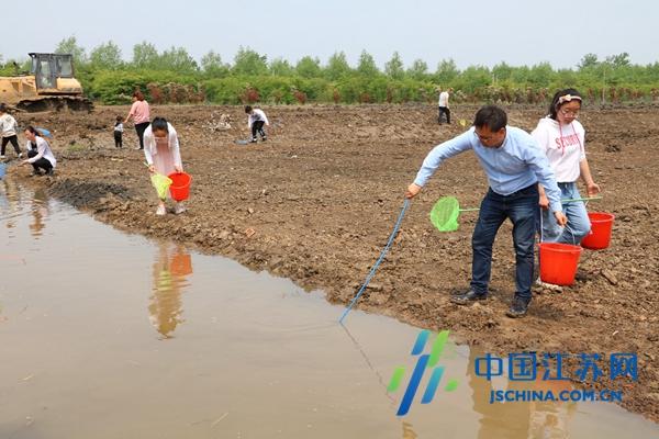 建湖京城国际最新房价,京城国际建湖最新市场价揭晓