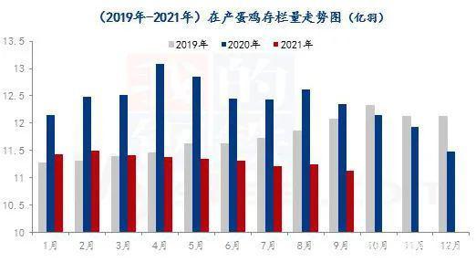 芝华最新分析蛋鸡存栏,芝华最新解读：蛋鸡存栏现状