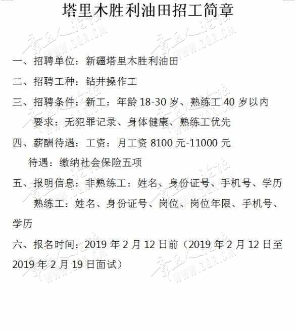 东营最新油田招聘信息,东营油田最新招聘资讯