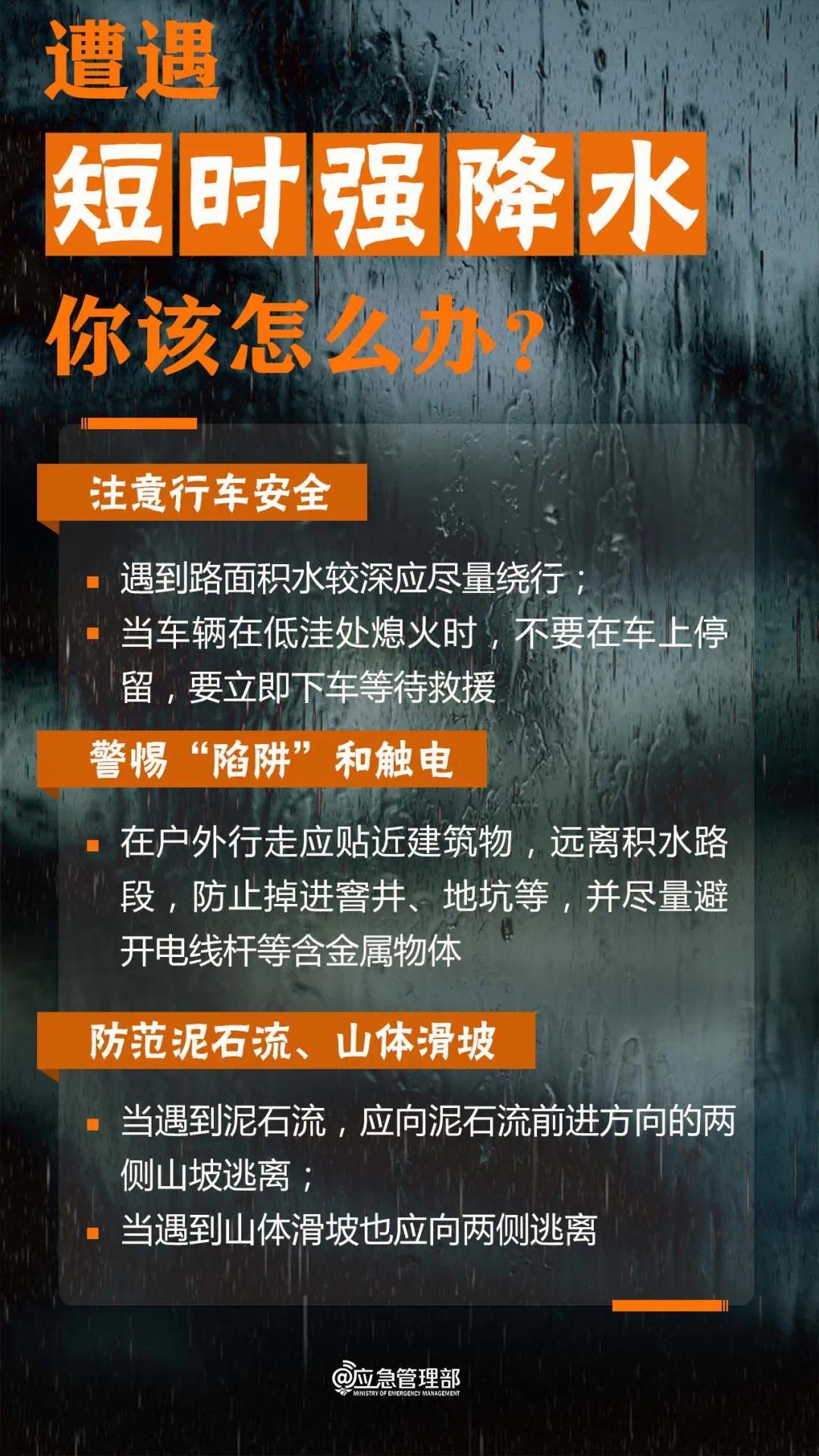 澳门正版资料大全资料贫无担石,快捷解答方案执行_防御集L86.284