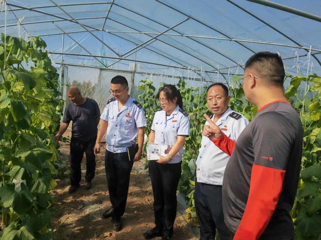 金杞大蒜价格最新行情,杞县大蒜最新市场价格