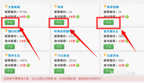 最新加粉平台,最新粉丝招募平台