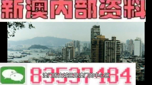 2024澳门精准正版资料大全,开放式解释落实方案_初级款E52.198