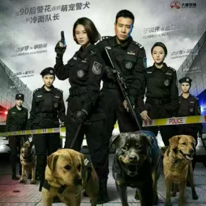 警花与警犬2最新消息,警花与警犬2最新资讯速递