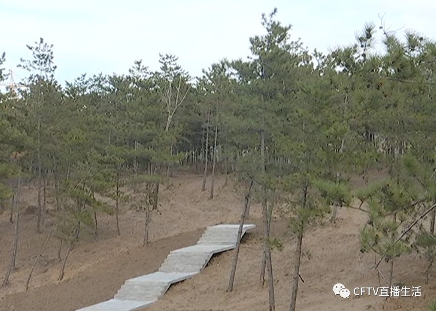 赤峰土方工程最新消息,“赤峰土建工程动态资讯”