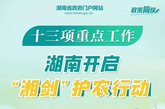 登封兼职最新招聘,“登封兼职职位速递”