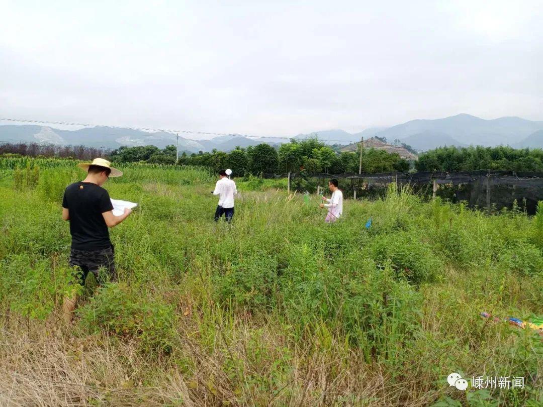 长乐新区最新规划征地,长乐新区规划征用土地信息