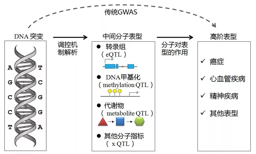 香港免费大全资料大全｜数据解析整合设计｜科技型U42.381