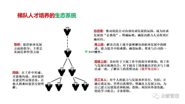 新澳精选资料免费提供｜成长路径解析落实｜特别版A6.769