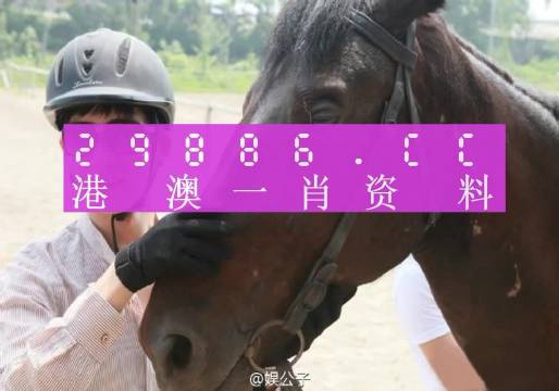 澳门一肖一码一必中一肖｜中肯解答解释落实｜组合型E15.459