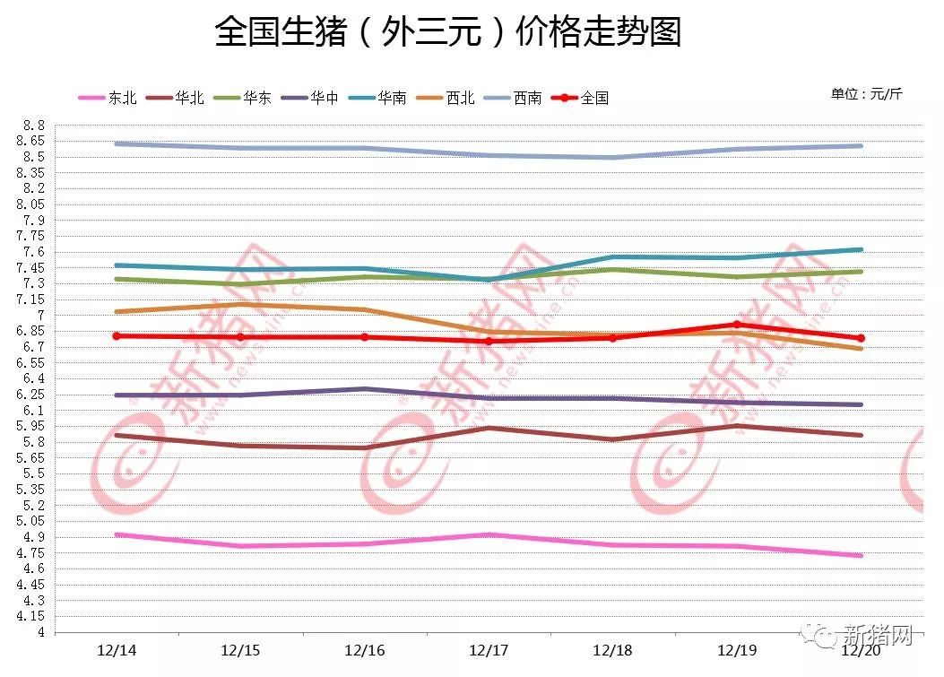 猪价行情价格最新消息｜最新猪价动态解析